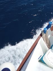 IMG_20220701_153051