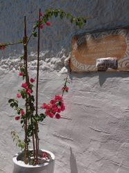 IMG_20220702_135133